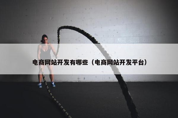 电商网站开发有哪些（电商网站开发平台）