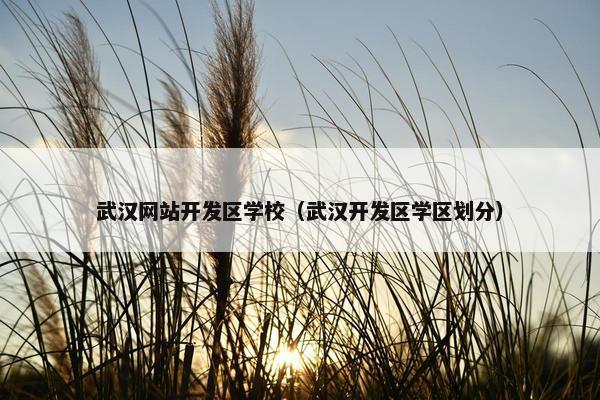 武汉网站开发区学校（武汉开发区学区划分）
