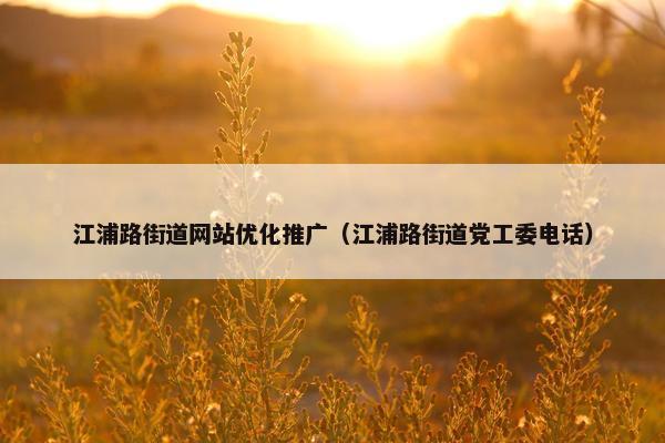 江浦路街道网站优化推广（江浦路街道党工委电话）