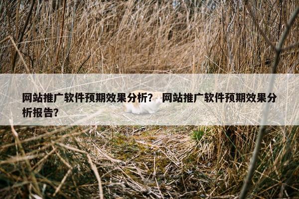 网站推广软件预期效果分析？ 网站推广软件预期效果分析报告？