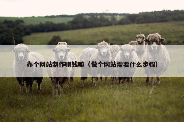 办个网站制作赚钱嘛（做个网站需要什么步骤）
