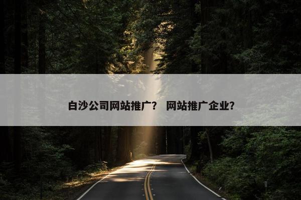 白沙公司网站推广？ 网站推广企业？