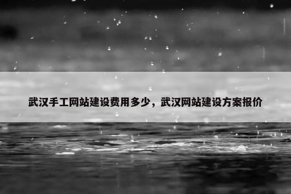 武汉手工网站建设费用多少，武汉网站建设方案报价