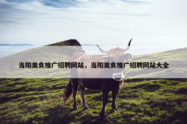 当阳美食推广招聘网站，当阳美食推广招聘网站大全