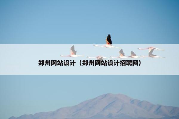 郑州网站设计（郑州网站设计招聘网）