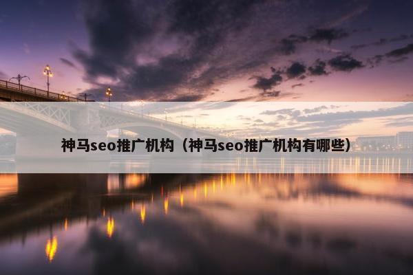 神马seo推广机构（神马seo推广机构有哪些）