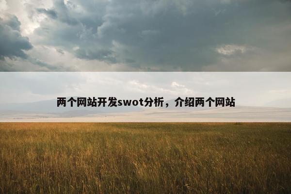 两个网站开发swot分析，介绍两个网站