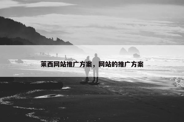 莱西网站推广方案，网站的推广方案