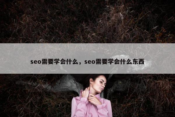 seo需要学会什么，seo需要学会什么东西