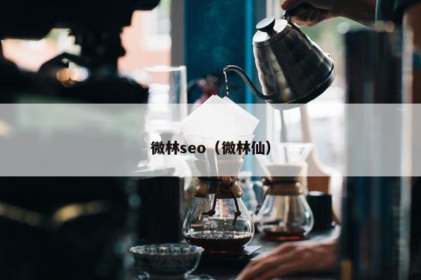 微林seo（微林仙）