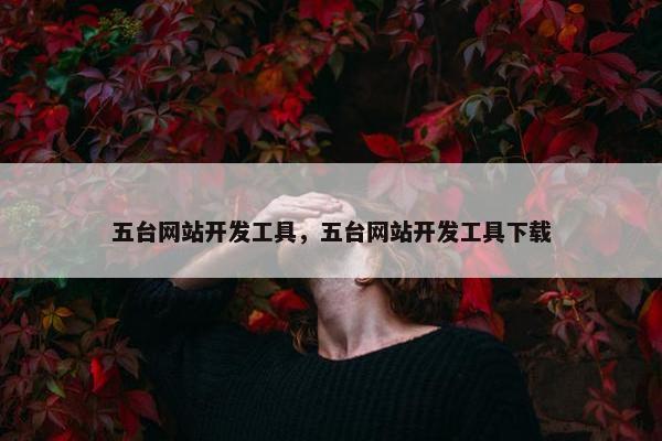 五台网站开发工具，五台网站开发工具下载