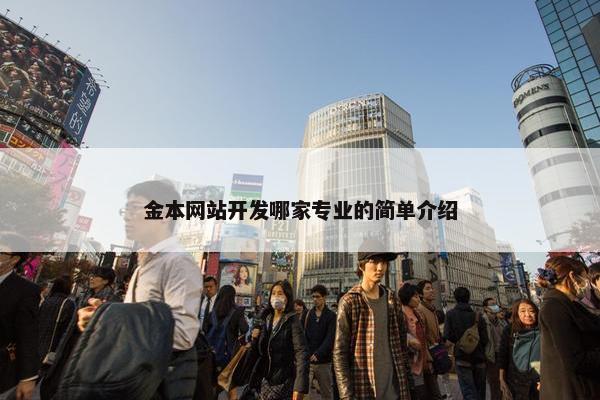 金本网站开发哪家专业的简单介绍