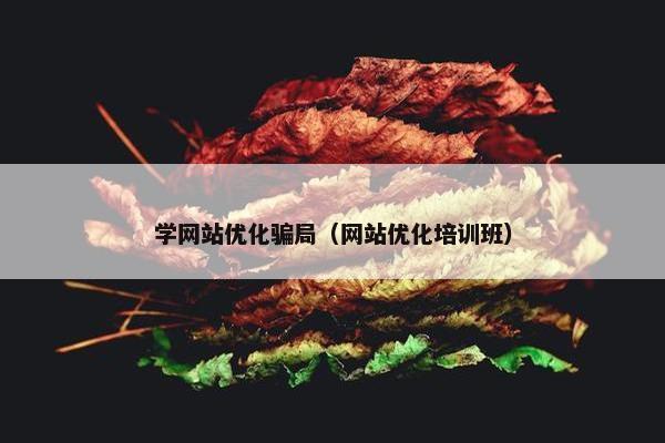 学网站优化骗局（网站优化培训班）