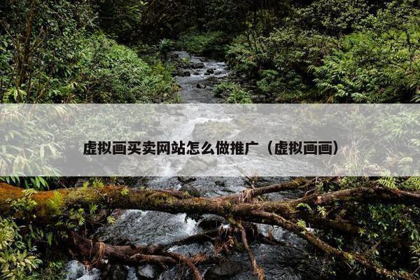 虚拟画买卖网站怎么做推广（虚拟画画）
