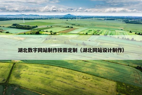 湖北数字网站制作按需定制（湖北网站设计制作）