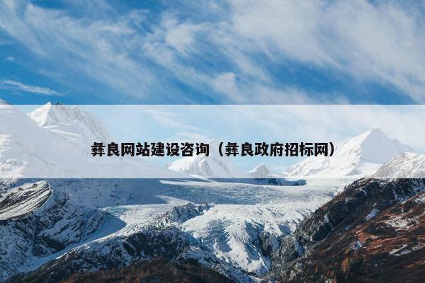 彝良网站建设咨询（彝良政府招标网）