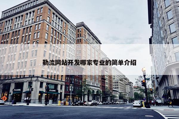 勒流网站开发哪家专业的简单介绍