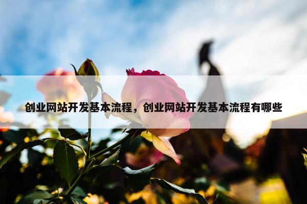 创业网站开发基本流程，创业网站开发基本流程有哪些