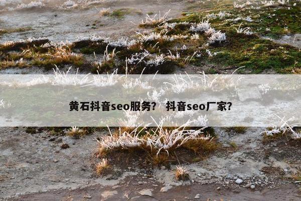 黄石抖音seo服务？ 抖音seo厂家？