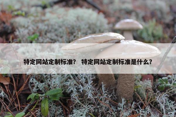 特定网站定制标准？ 特定网站定制标准是什么？