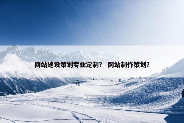 网站建设策划专业定制？ 网站制作策划？