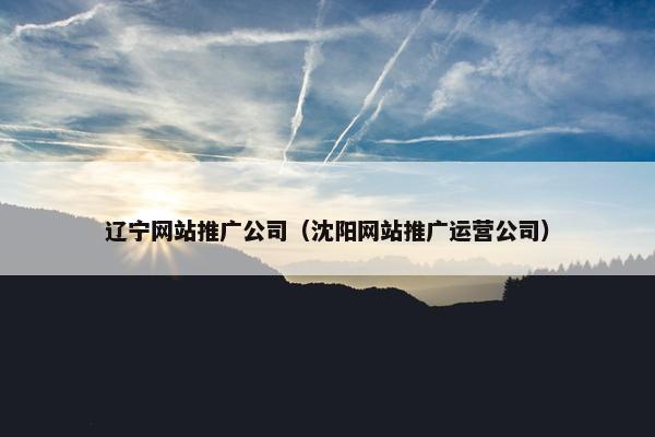 辽宁网站推广公司（沈阳网站推广运营公司）