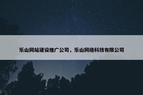 乐山网站建设推广公司，乐山网络科技有限公司