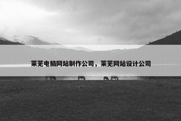 莱芜电脑网站制作公司，莱芜网站设计公司