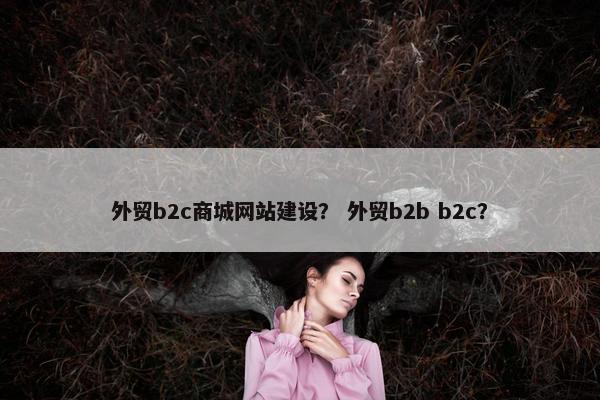 外贸b2c商城网站建设？ 外贸b2b b2c？