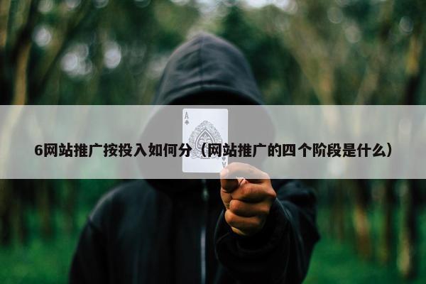 6网站推广按投入如何分（网站推广的四个阶段是什么）