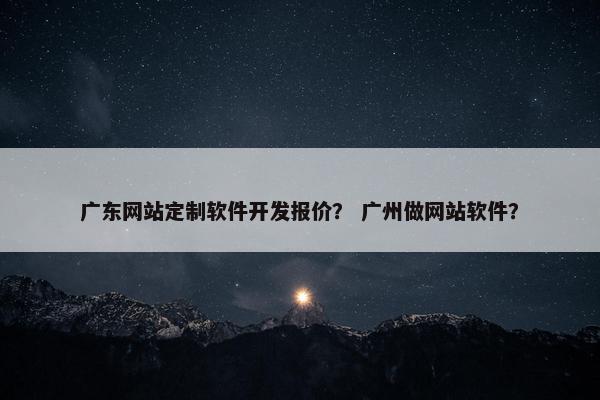广东网站定制软件开发报价？ 广州做网站软件？