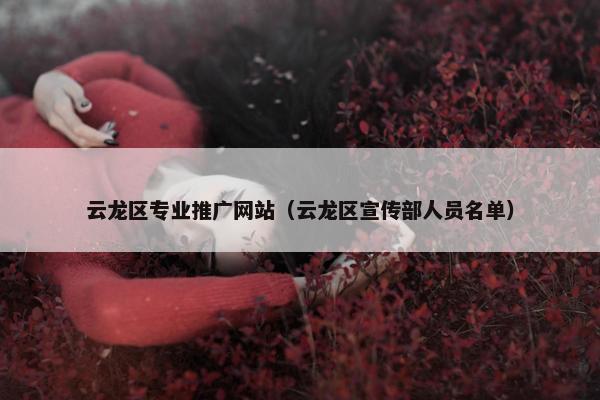 云龙区专业推广网站（云龙区宣传部人员名单）