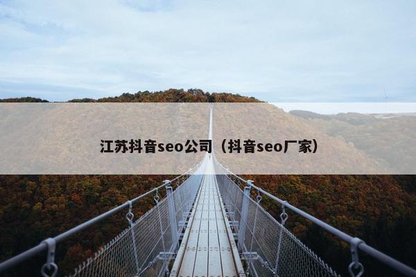 江苏抖音seo公司（抖音seo厂家）