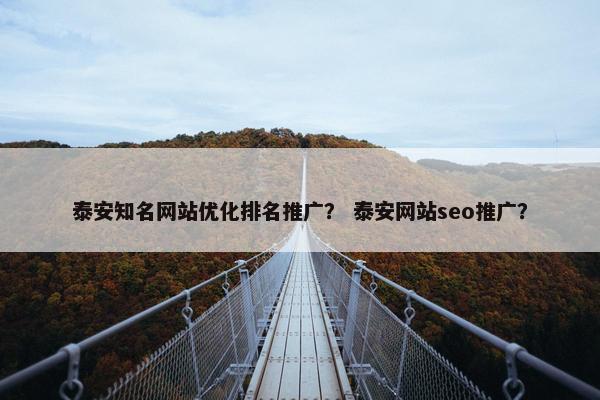 泰安知名网站优化排名推广？ 泰安网站seo推广？