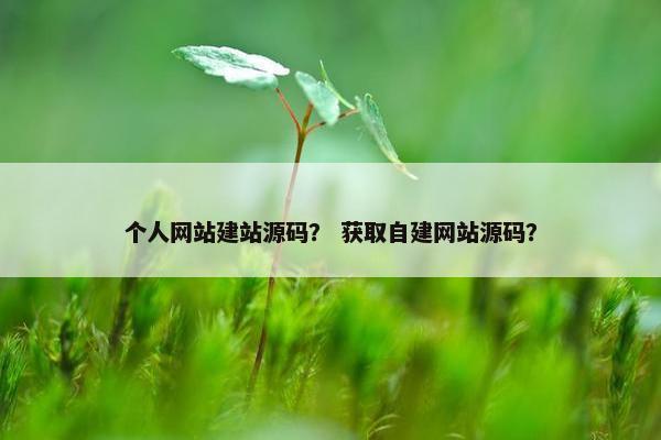 个人网站建站源码？ 获取自建网站源码？