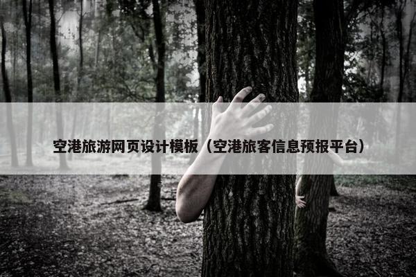 空港旅游网页设计模板（空港旅客信息预报平台）