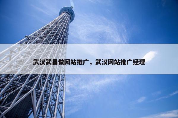 武汉武昌做网站推广，武汉网站推广经理