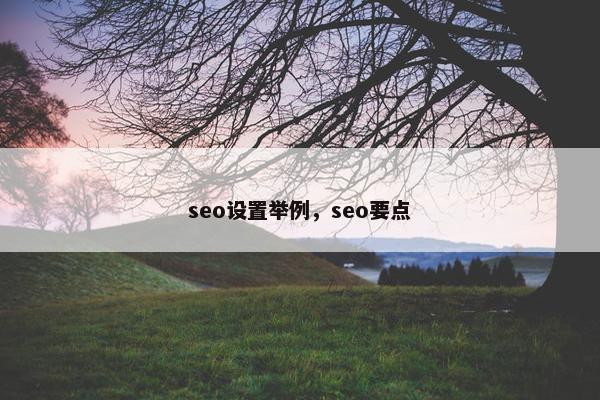 seo设置举例，seo要点