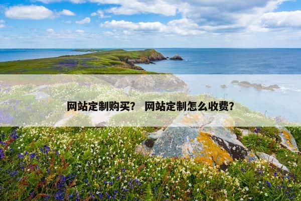 网站定制购买？ 网站定制怎么收费？