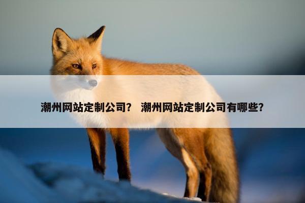 潮州网站定制公司？ 潮州网站定制公司有哪些？