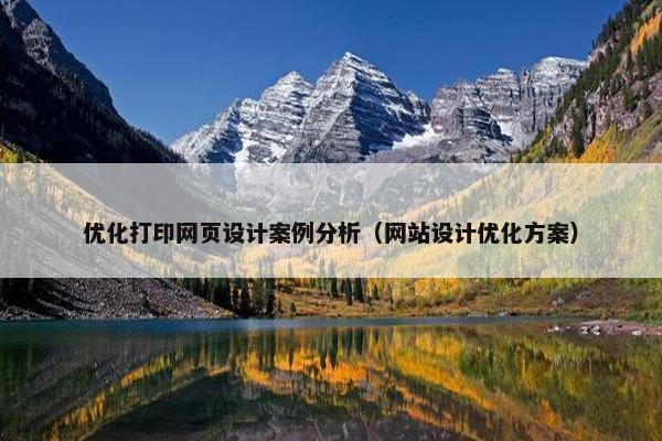 优化打印网页设计案例分析（网站设计优化方案）