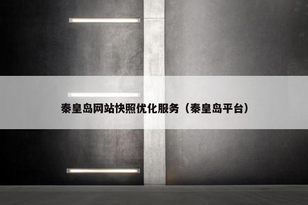 秦皇岛网站快照优化服务（秦皇岛平台）