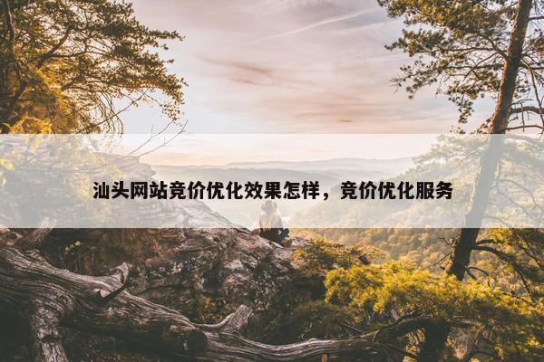 汕头网站竞价优化效果怎样，竞价优化服务