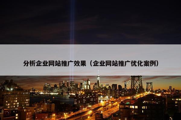 分析企业网站推广效果（企业网站推广优化案例）