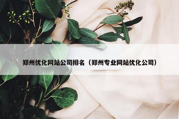 郑州优化网站公司排名（郑州专业网站优化公司）