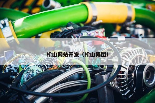松山网站开发（松山集团）