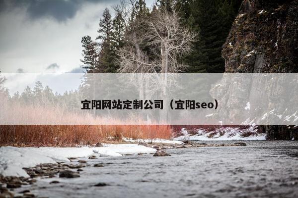 宜阳网站定制公司（宜阳seo）