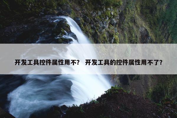 开发工具控件属性用不？ 开发工具的控件属性用不了？