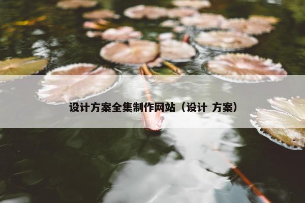 设计方案全集制作网站（设计 方案）