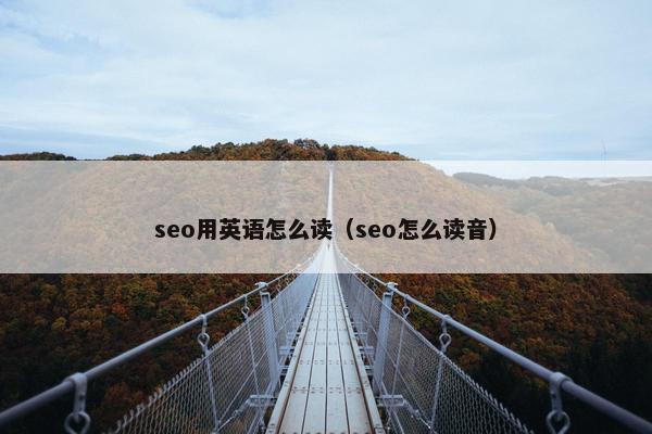 seo用英语怎么读（seo怎么读音）
